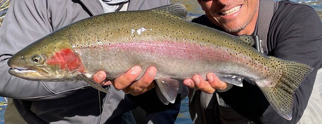 smiling angler with a quality klamath river steelhead during a MoJoBella Fly Fishing® Winter drift boat trip