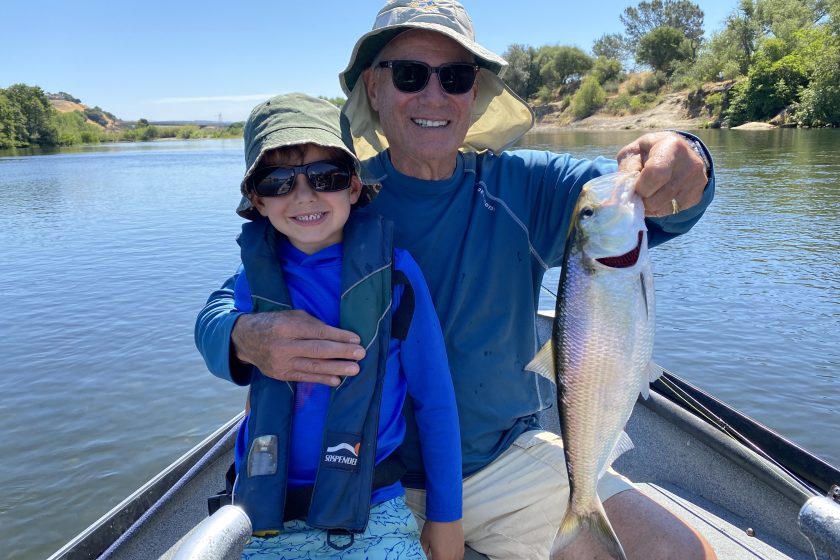 American River Shad landed on a fly rod with Grandpa and grandson