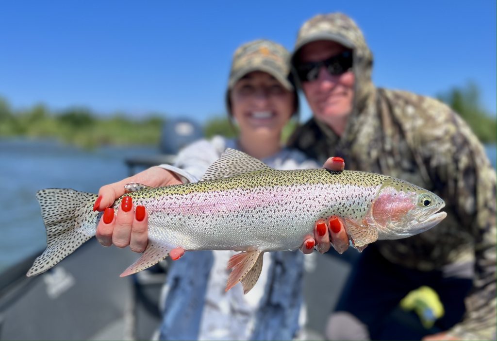 a very clean quality rainbow trout landed on the Lower Sacramento during a float drift trip with MoJoBella Fly Fishing®