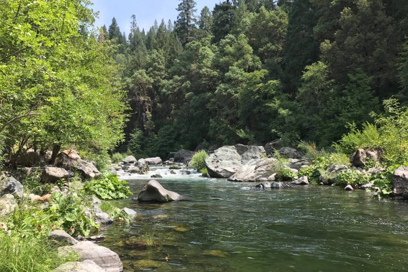 Upper Sacramento River Pocket water ideal for fly fishing