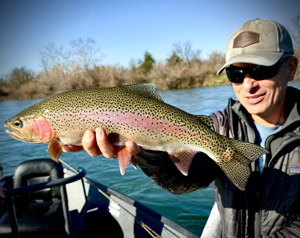 Lower Sac Rainbow on the Swing