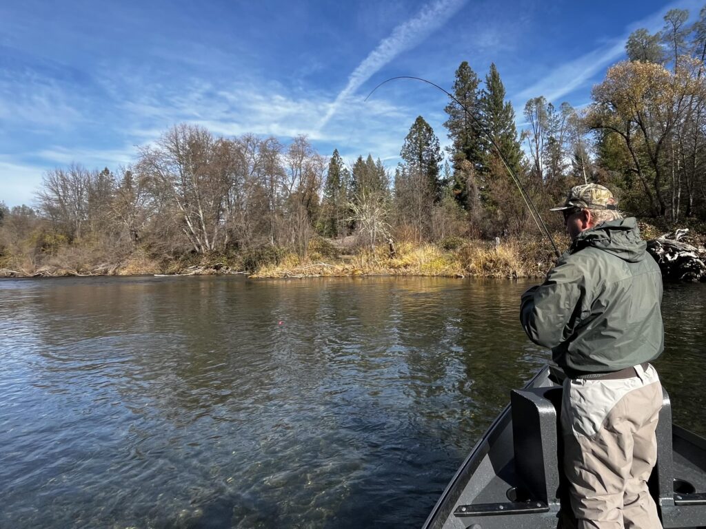 drift boat angler hooked into a steelhead